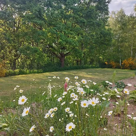 Kraniec Swiata - Tylko Dla Ciebie - Zachwyca Krajobrazem, Regeneruje Cisza I Komfortem *