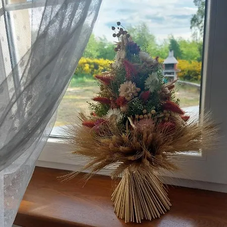 Kraniec Swiata - Tylko Dla Ciebie - Zachwyca Krajobrazem, Regeneruje Cisza I Komfortem ブンツラウ