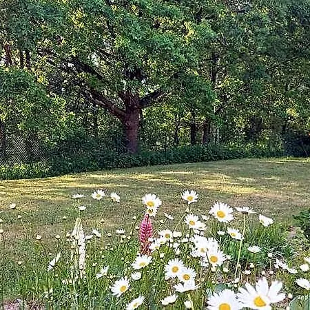 Kraniec Swiata - Zachwyca Krajobrazem, Regeneruje Cisza I Komfortem, Klimatyzacja Ac * Boleslawiec (Lower Silesia)
