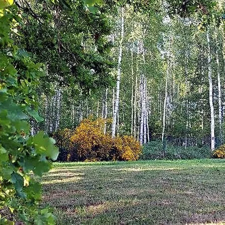 Kraniec Swiata - Zachwyca Krajobrazem, Regeneruje Cisza I Komfortem, Klimatyzacja Ac