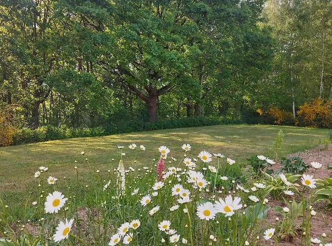 Kraniec Swiata - Zachwyca Krajobrazem, Regeneruje Cisza I Komfortem *